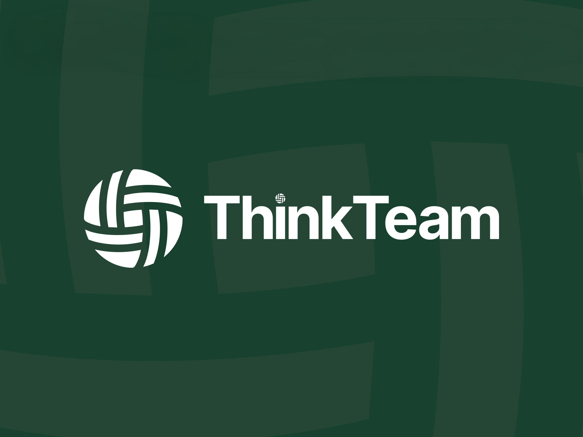 ThinkTeam
